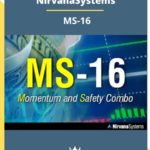 Nirvanasystems – MS-16