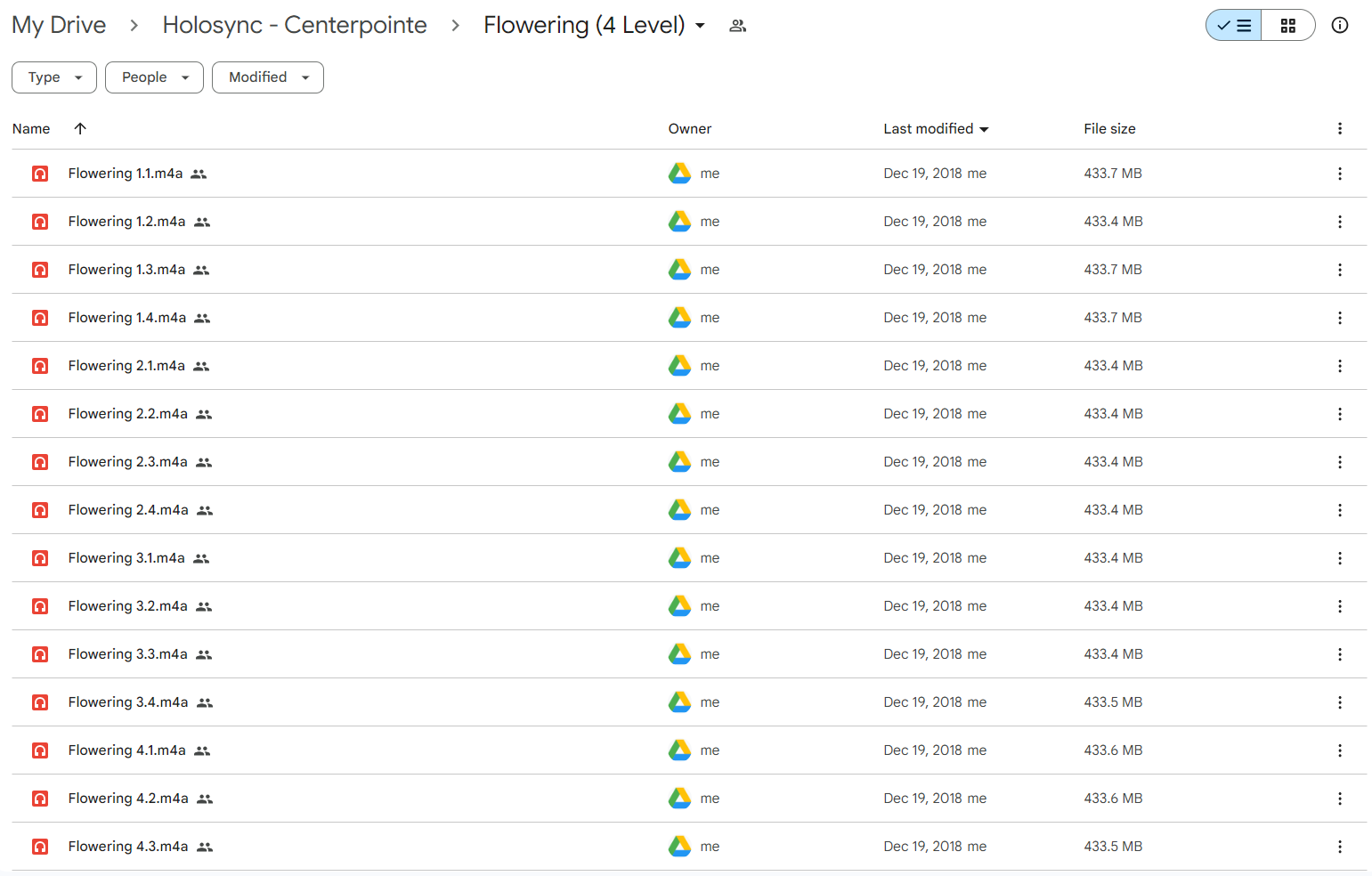 Holosync – Centerpointe – Full 12 Levels