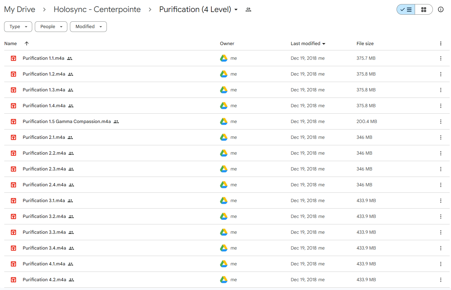 Holosync – Centerpointe – Full 12 Levels