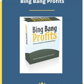 Bing Bang Profits