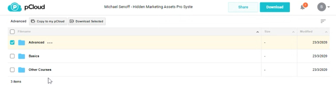 Hidden Marketing Assets Pro Syste download