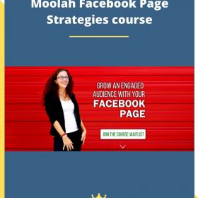 Moolah Facebook Page Strategies course