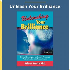 Brian E. Walsh. – Unleash Your Brilliance