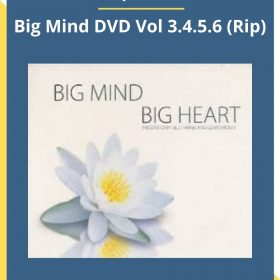 Genpo Roshi – Big Mind DVD Vol 3.4.5.6 (Rip)