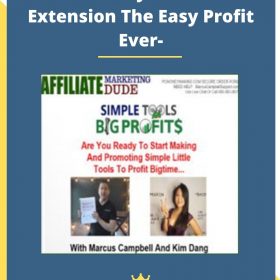 Make 500 A day With Browser Extension The Easy Profit Ever-