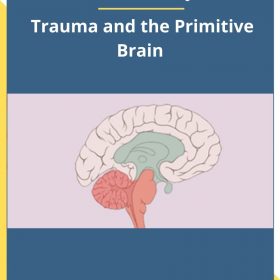 Rick Wilkes & Cathy VArtuli – Trauma and the Primitive Brain