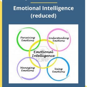 Wyatt Woodsmall – Emotional Intelligence (reduced)