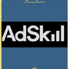 Adskill Agency Level 2019