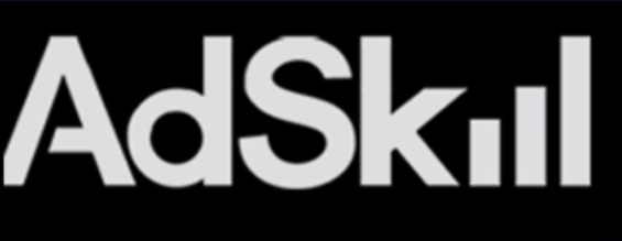 Adskill Agency Level 2019