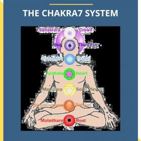 CAROL TUTTLE – THE CHAKRA7 SYSTEM