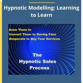 Rintu Basu – Hypnotic Modelling: Learning to Learn