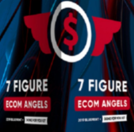 7 Figure Ecom Angels