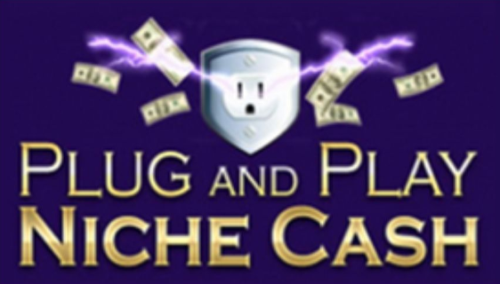 Andrew Hansen – Plug and Play Niche Cash