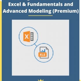 Breaking Into Wall Street – Excel & Fundamentals and Advanced Modeling (Premium)