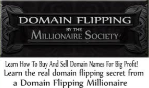 Domain Flipping By The Millionaire Society