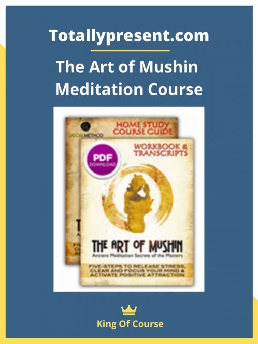 Totallypresent.com – The Art of Mushin Meditation Course