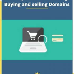 $30.000 profit in Domaining – Buying and selling Domains