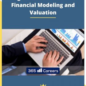 Beginner to Pro in Excel Financial Modeling and Valuation