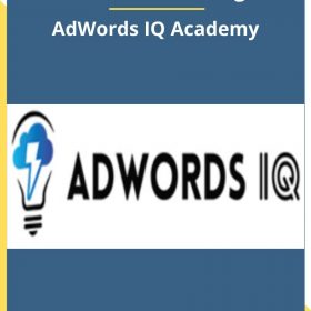 Caitlin Schlichting – AdWords IQ Academy