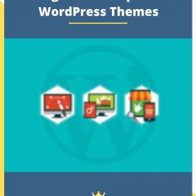 Design & Develop & Sell WordPress Themes