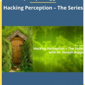 Joseph Riggio – Hacking Perception – The Series