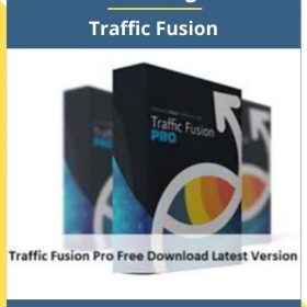 Precious Ngwu – Traffic Fusion