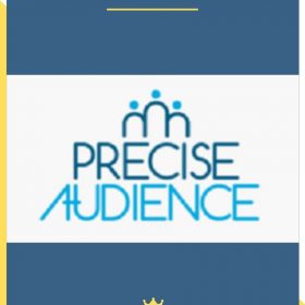 Precise Audience Extension