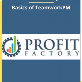 Profit Factory – Basics of TeamworkPM