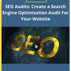 Ryan Wiley- SEO Audits: Create a Search Engine Optimization Audit For Your Website