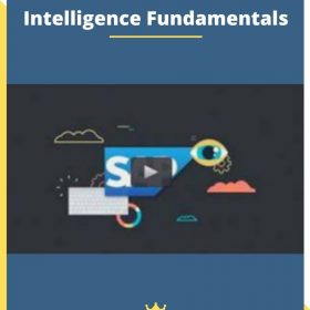 SAP BRIEF – SAP Business Intelligence Fundamentals