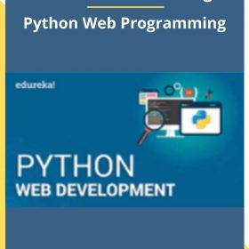 Stone River eLearning – Python Web Programming