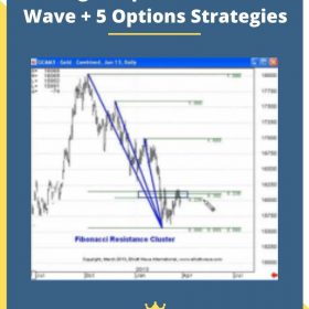 Winning in Options with Elliott Wave + 5 Options Strategies