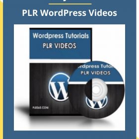 cswjohnni – PLR WordPress Videos