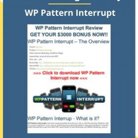 danlew & Zbigniew Klej – WP Pattern Interrupt