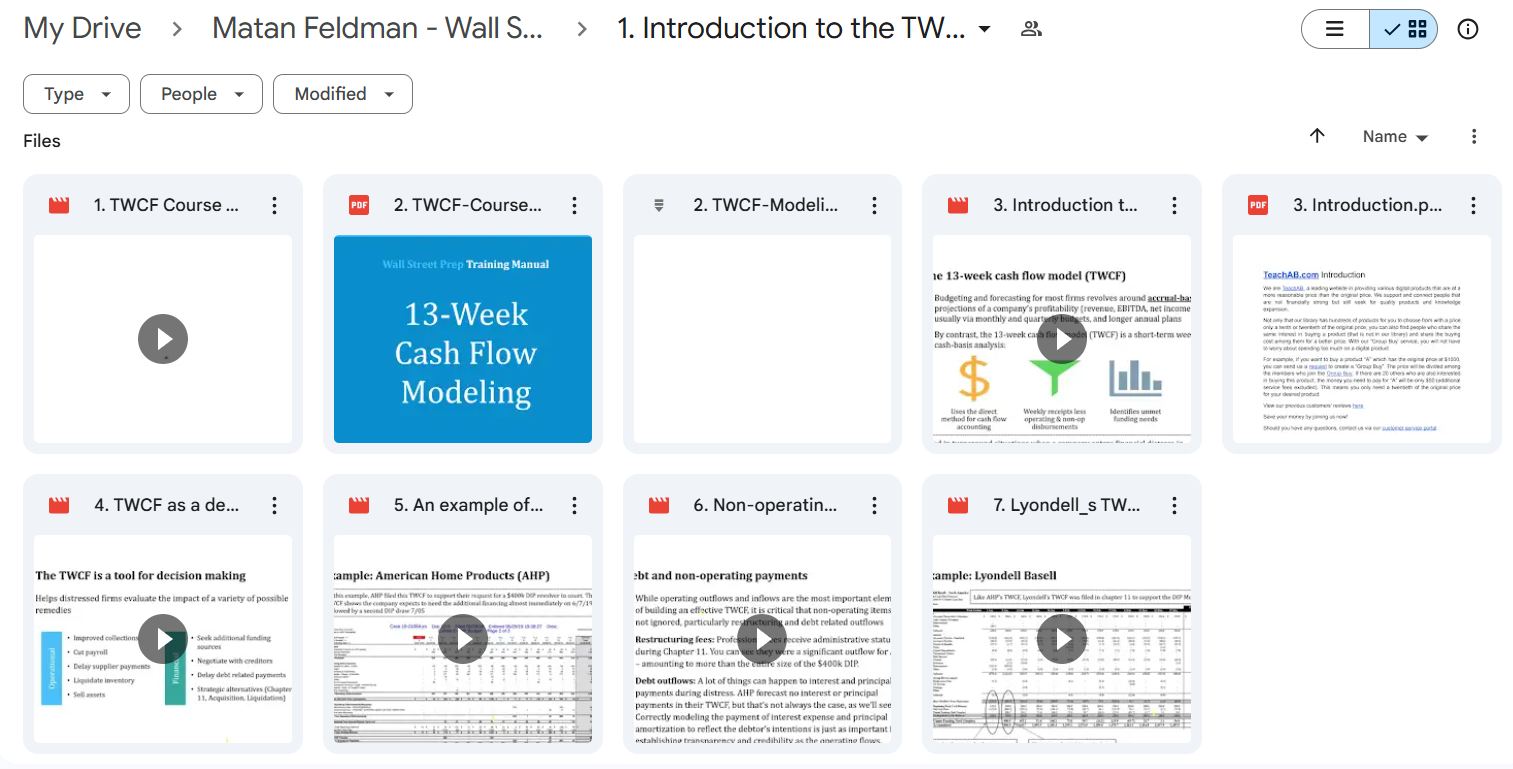 Matan Feldman - Wall Street Prep - The 13-Week Cash Flow Model Course For Download