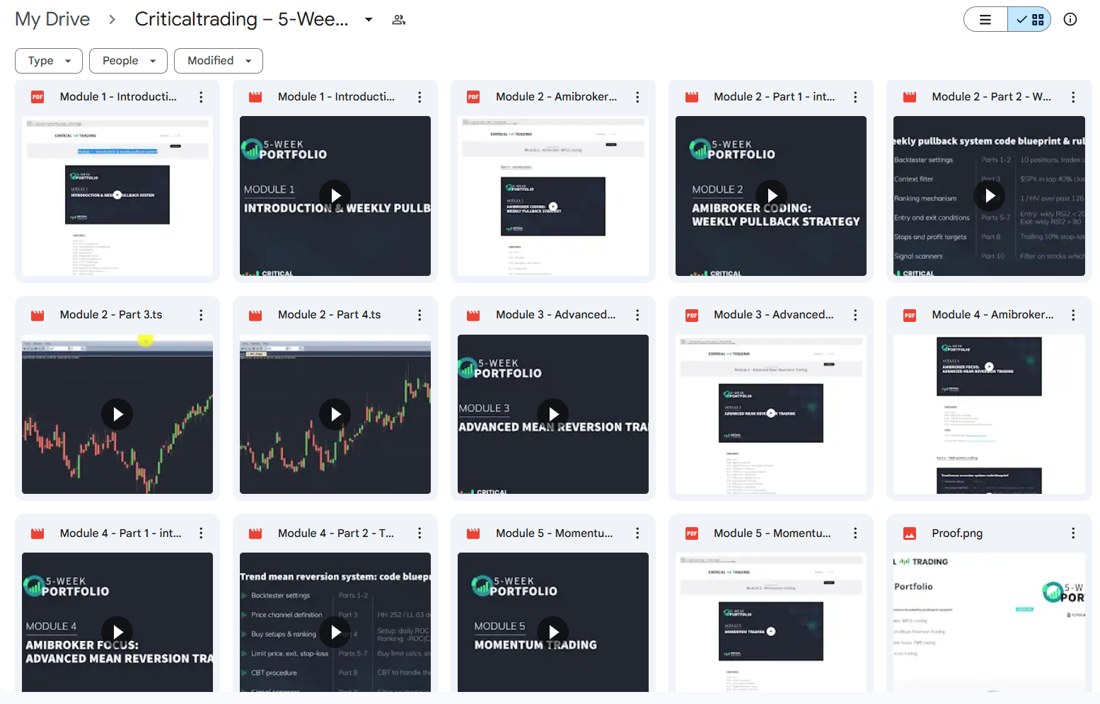 Criticaltrading 5-Week Portfolio Course For Download