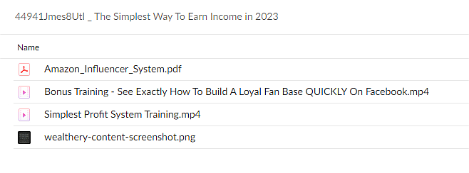 Wealthery – The Simplest Way To Earn Income in 2023