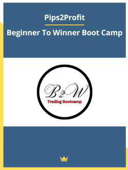 Pips2Profit – Beginner To Winner Boot Camp/