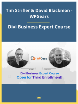 Divi Business Expert Course By Tim Strifler & David Blackmon - WPGears