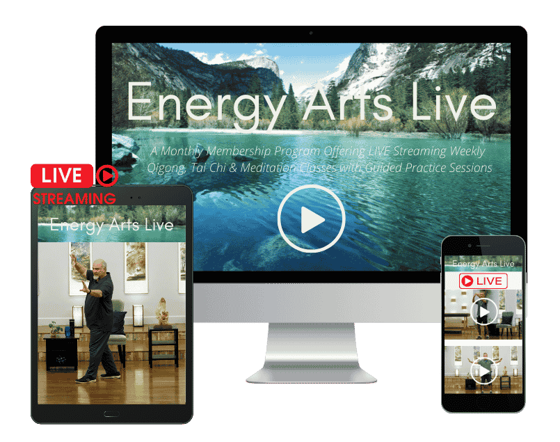 Energy Arts Live Spring Session 2024 by Bruce Frantzis & Craig Barnes.