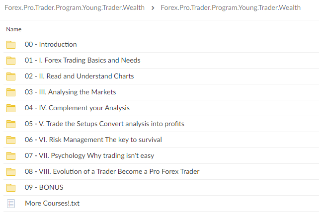 Forex Pro Trader Program By Young Trader Wealth