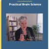 Download NICABM Practical Brain Science