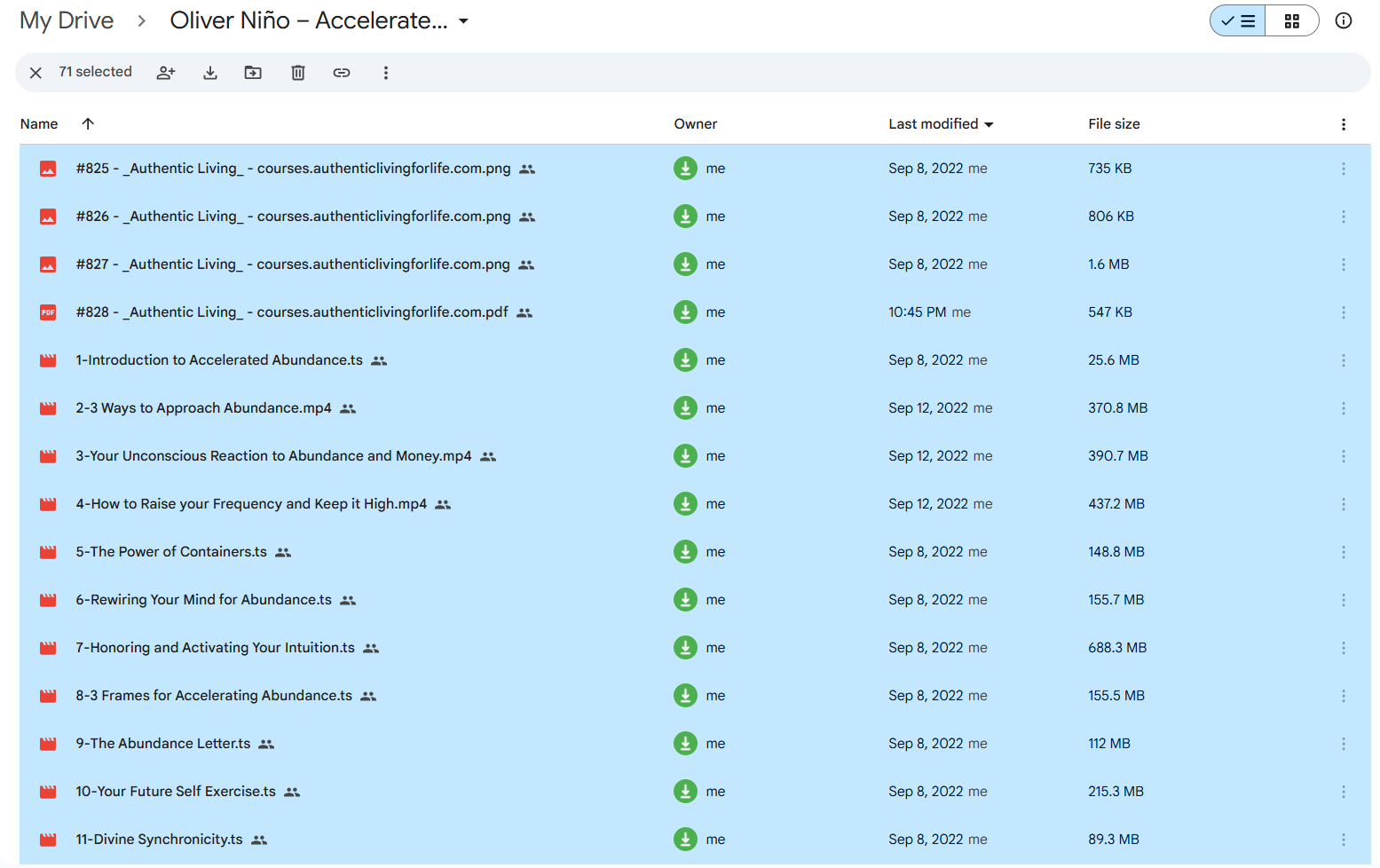 Oliver Niño's Accelerated Abundance Course For Download