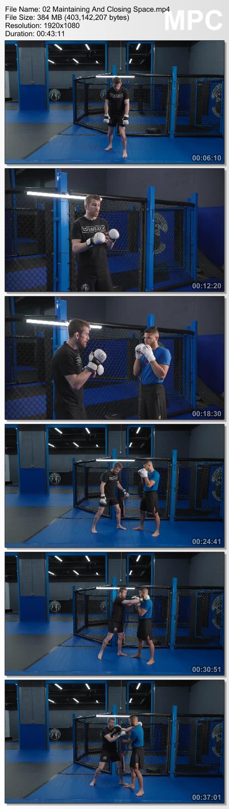 Cory Sandhagen - The Essentials of Striking Full Package Proof