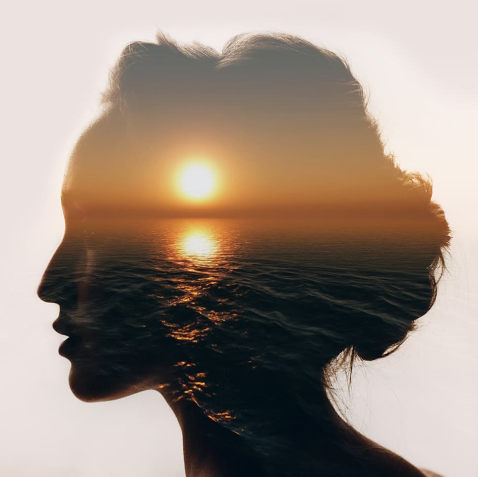 Centre of Excellence – Introduction to Stoicism Diploma Course